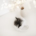 Biały kubek porcelanowy 300 ml - grafika zwierzaka dla miłośników zwierząt na urodziny Kubek porcelanowy ze złotym zdobieniem Zwierzak na porcelanie nadzwyczajnie.mom — widok z boku na białym tle